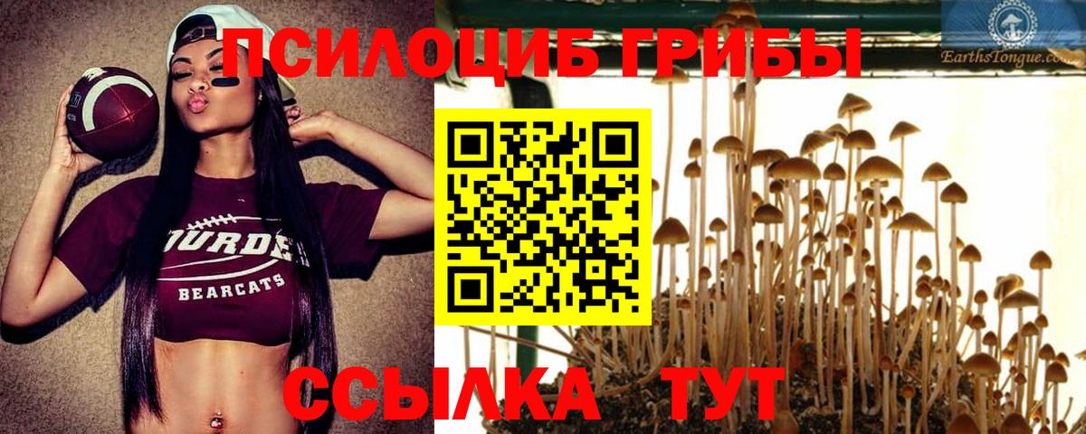 Галлюциногенные грибы Cubensis Ноябрьск